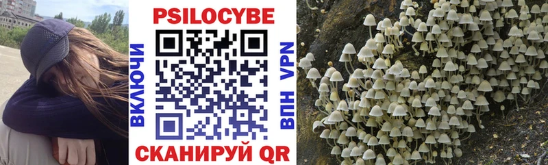 закладка  Североморск  Псилоцибиновые грибы MAGIC MUSHROOMS 
